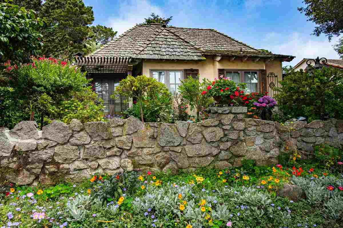 Casa cu curte, gradina cu flori, plante si pomi