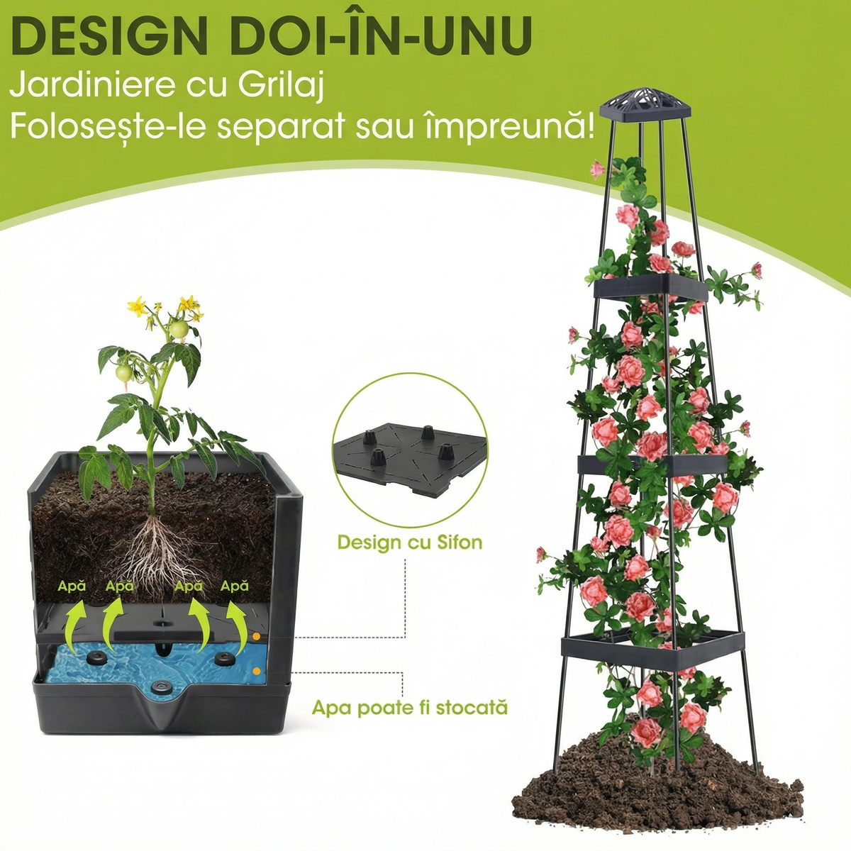 Secțiune prin jardinieră: rezervorul de apă de sub pământ și grilajul cu trandafiri cățărători
