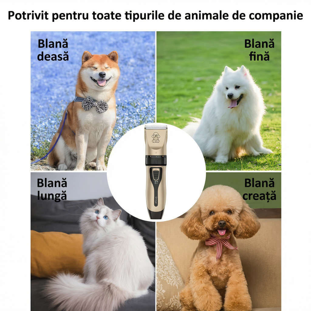 Patru tipuri de blană pe care merge mașina: deasă, fină, lungă și creață, cu aparatul în mijloc