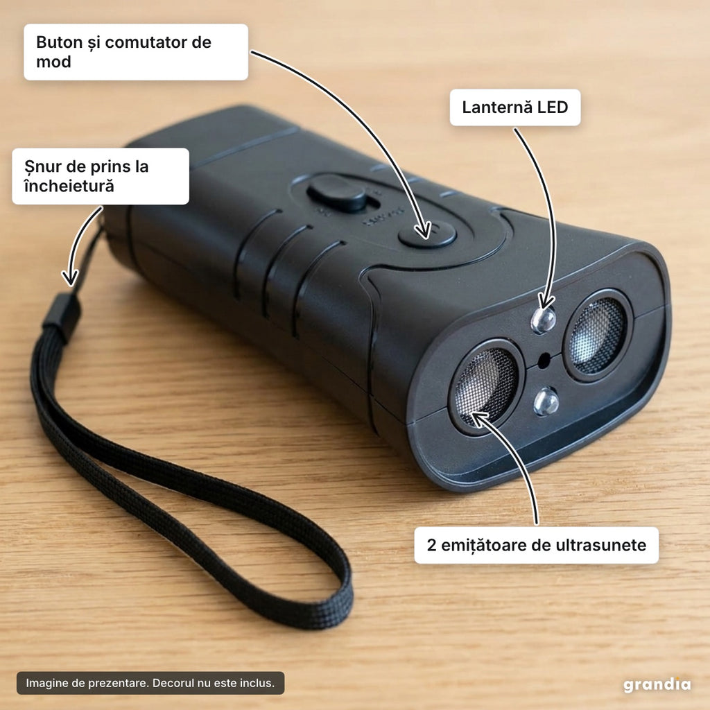 Aparat cu ultrasunete și lanternă – elemente principale