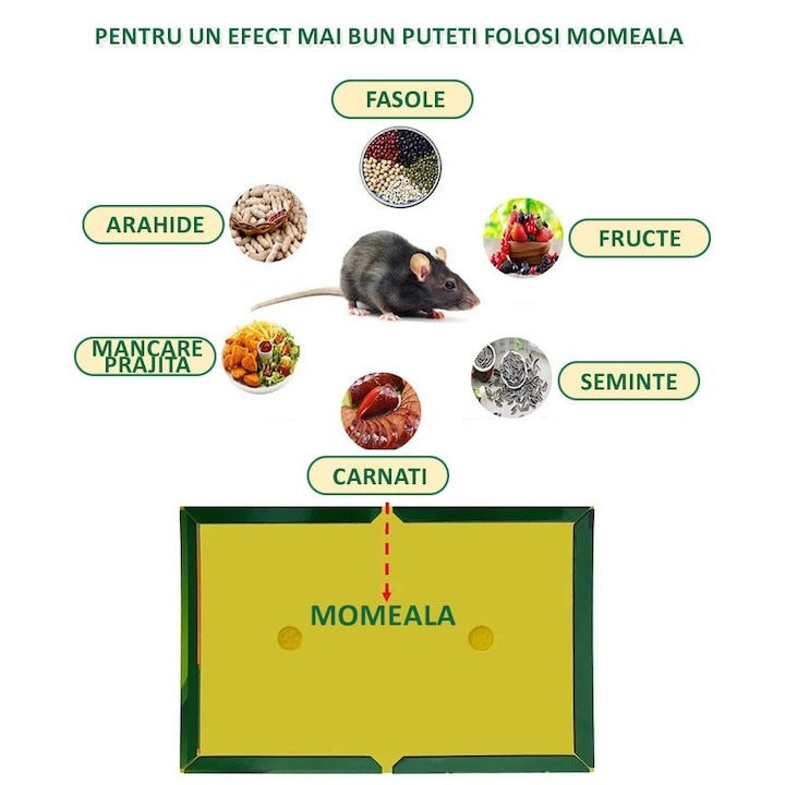 Capcană adezivă pentru șoareci și șobolani, fără miros