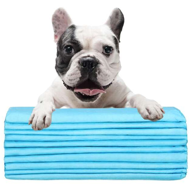 Scutece igienice pentru caini 60x60 cm, 50 bucati, pad-uri absorbante pentru dresaj si protectie podea